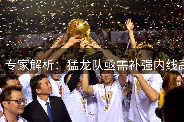 专家解析：猛龙队亟需补强内线高度 独行侠中锋加福德或成理想人选